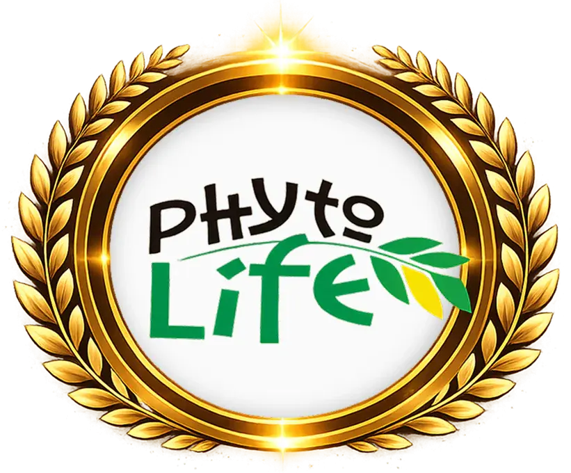 Best Brand Awards 2026